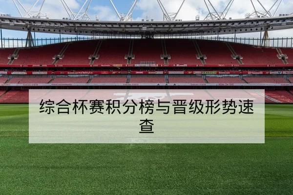 足彩总进球数与半全场规则及风险说明